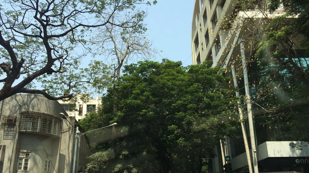 Pacific Medicare