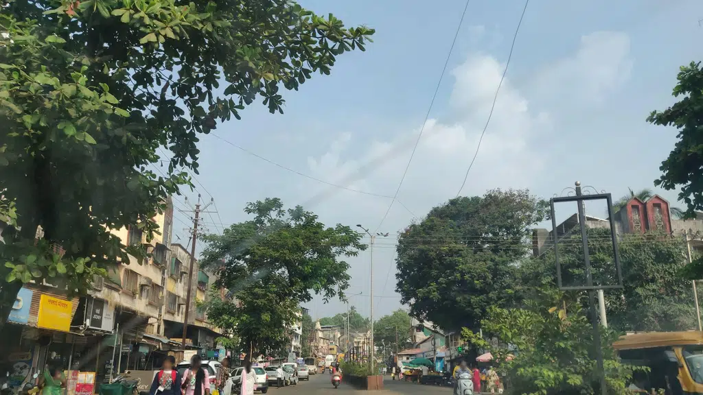 Sohani Mango Suppliers,Basani Ratnagiri