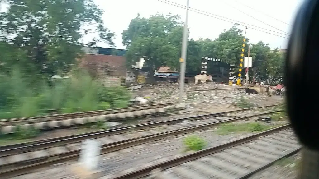 Shatabdi Travels