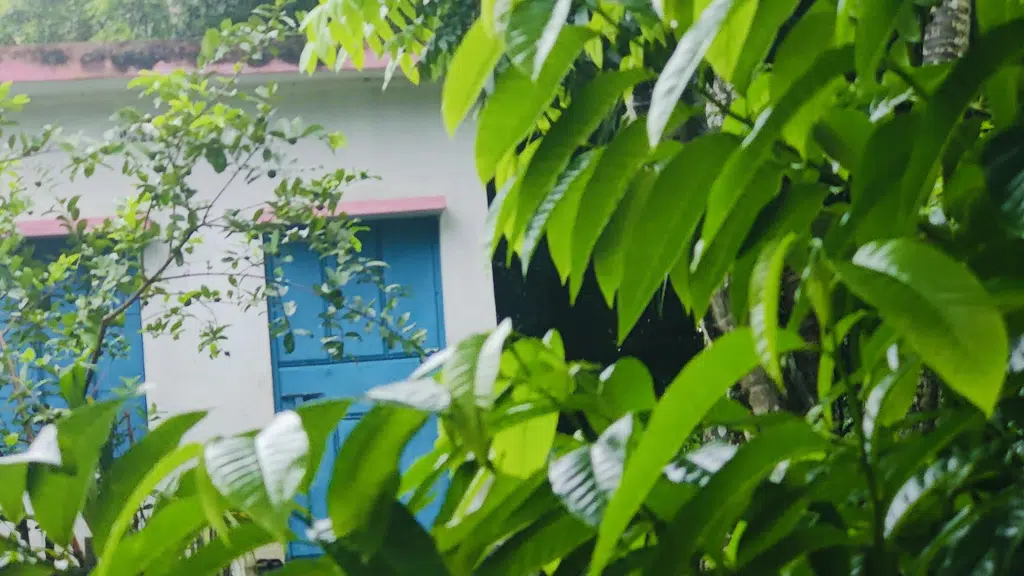 Kargoor homestay