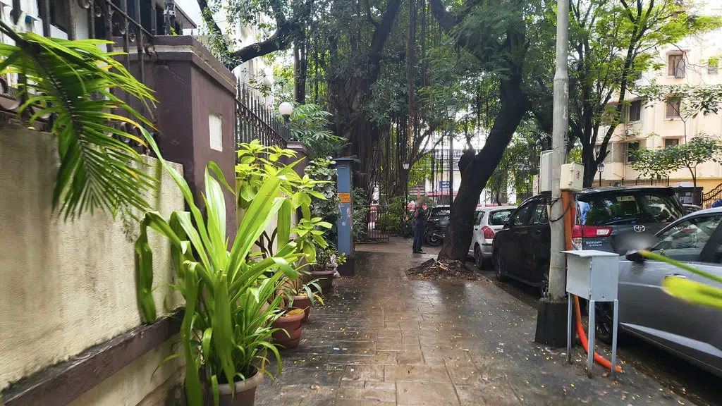 Olive Bar & Kitchen - Mumbai- Bandra