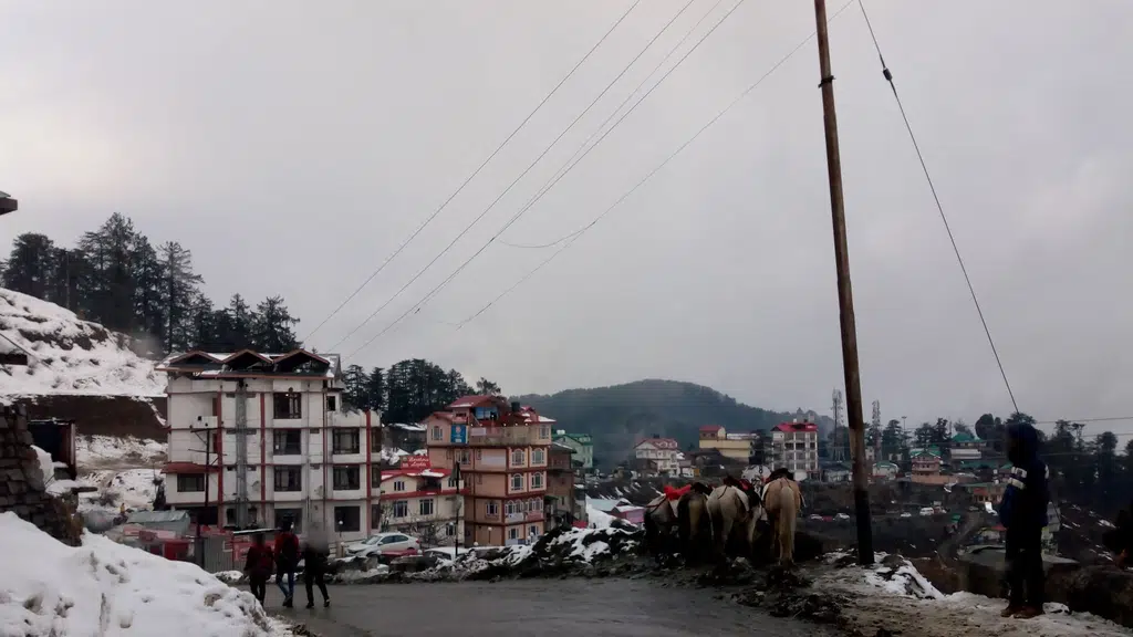 Kufri Horse Ride