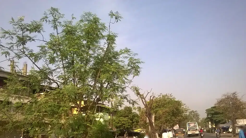 New English School Sukapur