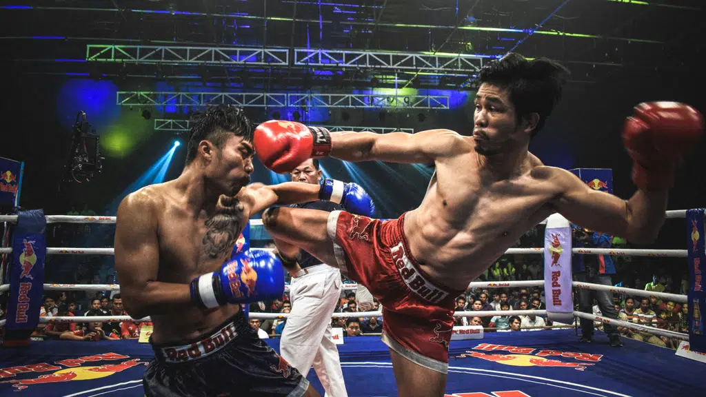 U.P Kickboxing WAKO U.P