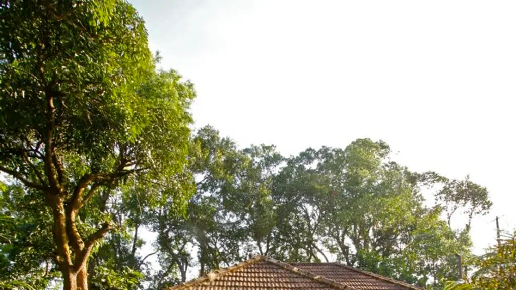 Coorg unplugged
