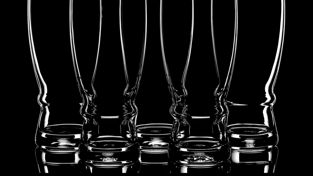 Evolution Image, Academy of Professional Photography