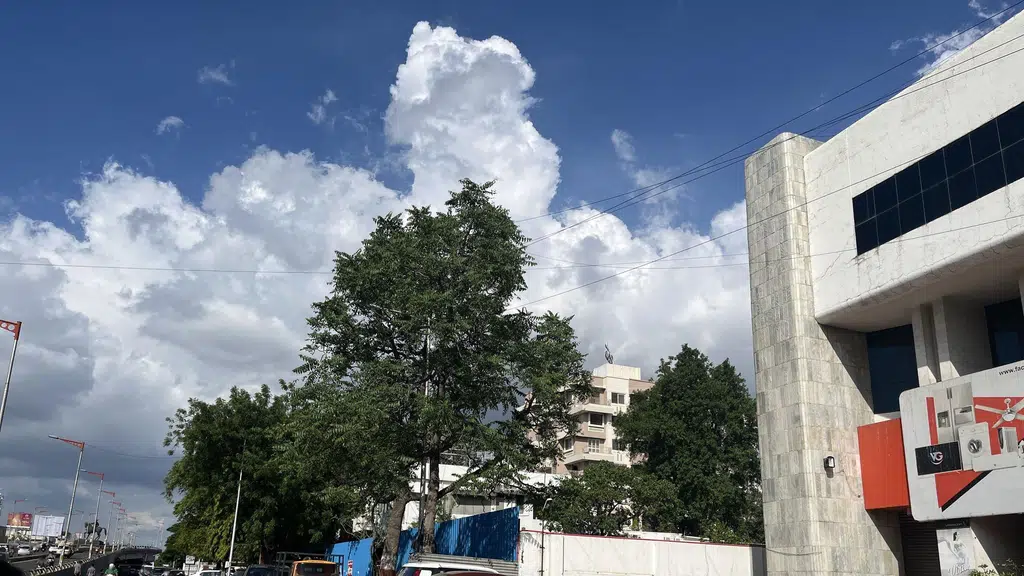 Samta Darshan Primary School
