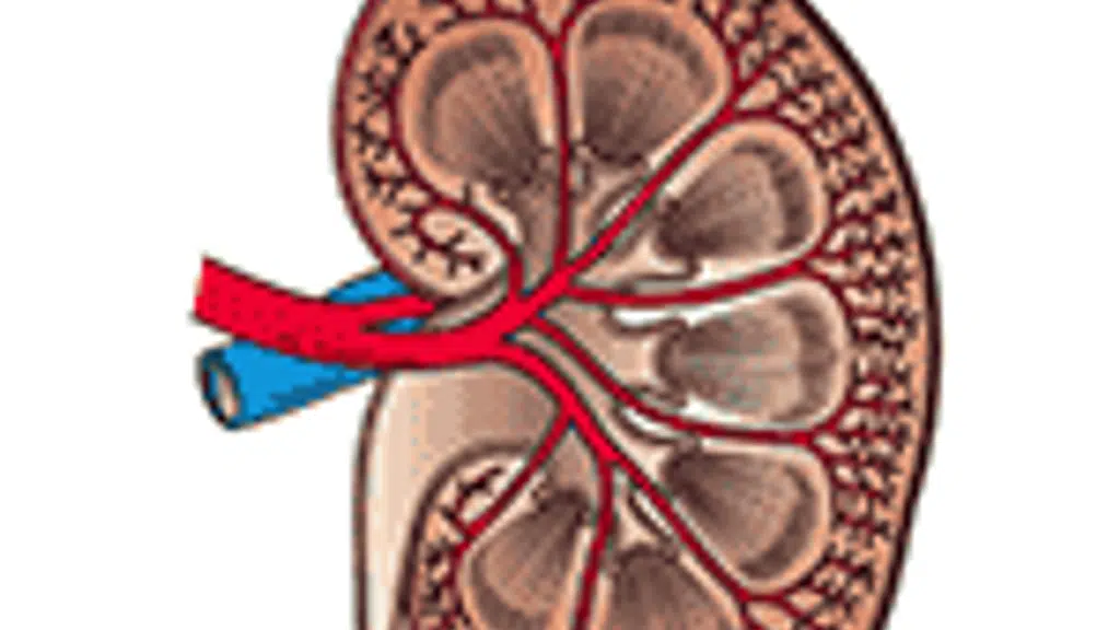 Karma Ayurveda Hospital