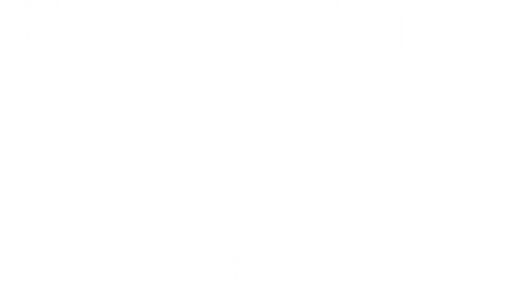 Southern Fried Chicken