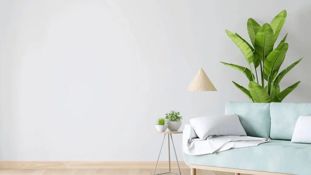 Atic | Architects & Interior Designer