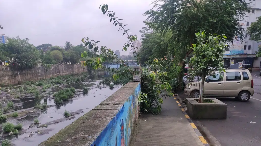 Pereira Wadi