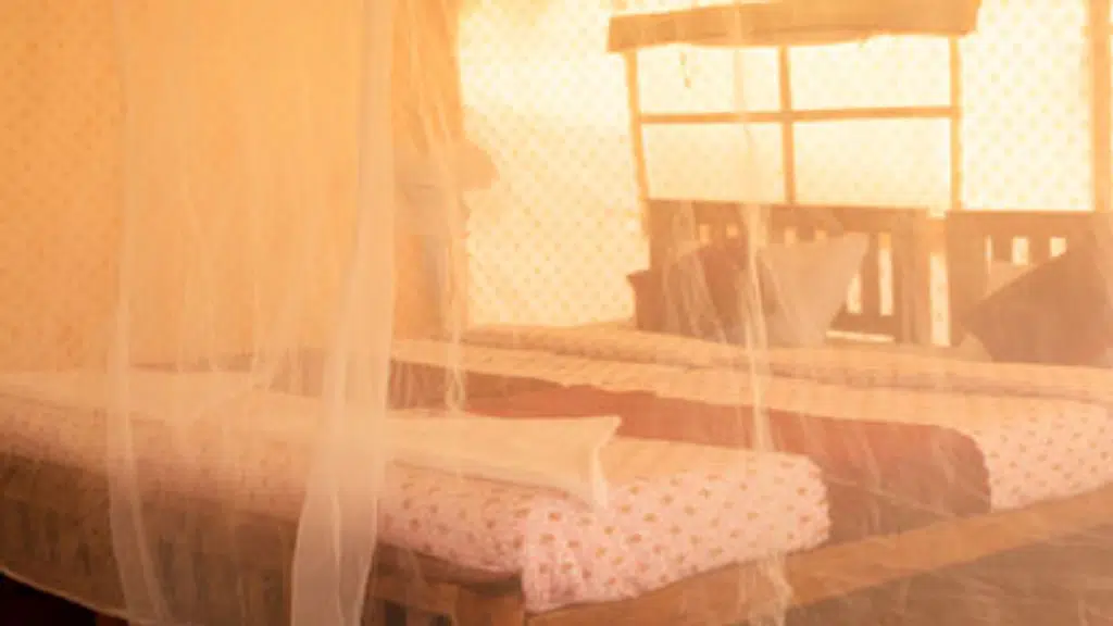 Rishikul Kumbh Cottages