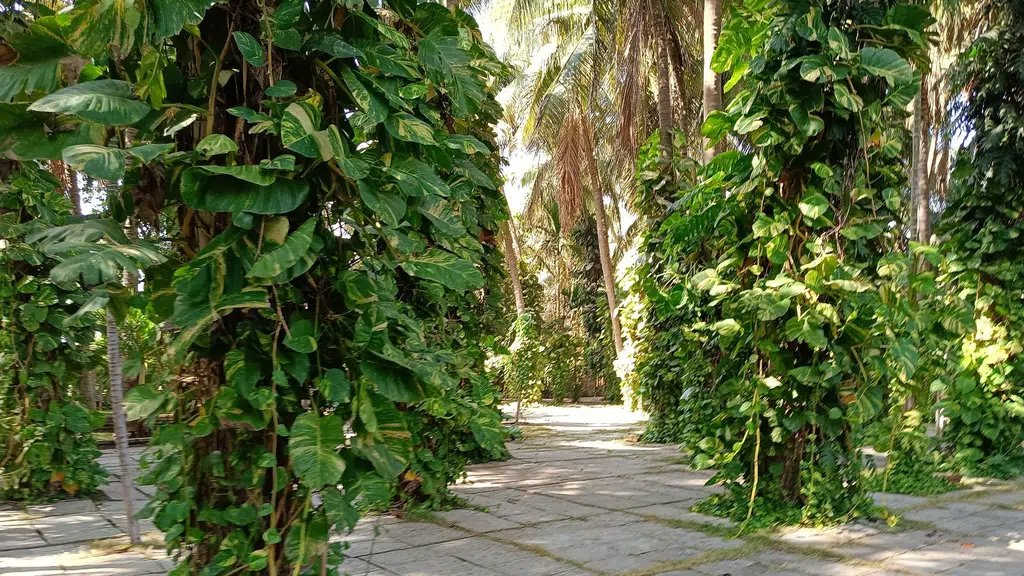 Vaishnavi Sai Farms