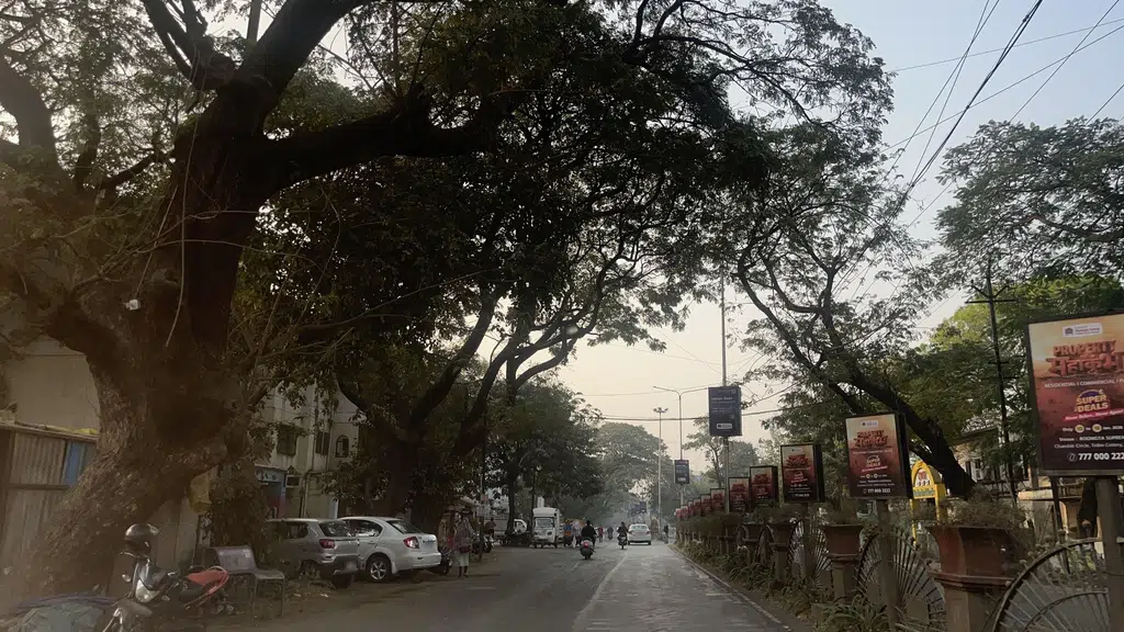 Parijatak Ayurved and Panchkarma Clinic