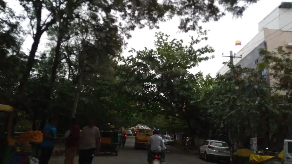 Health & Glow - Banashankari