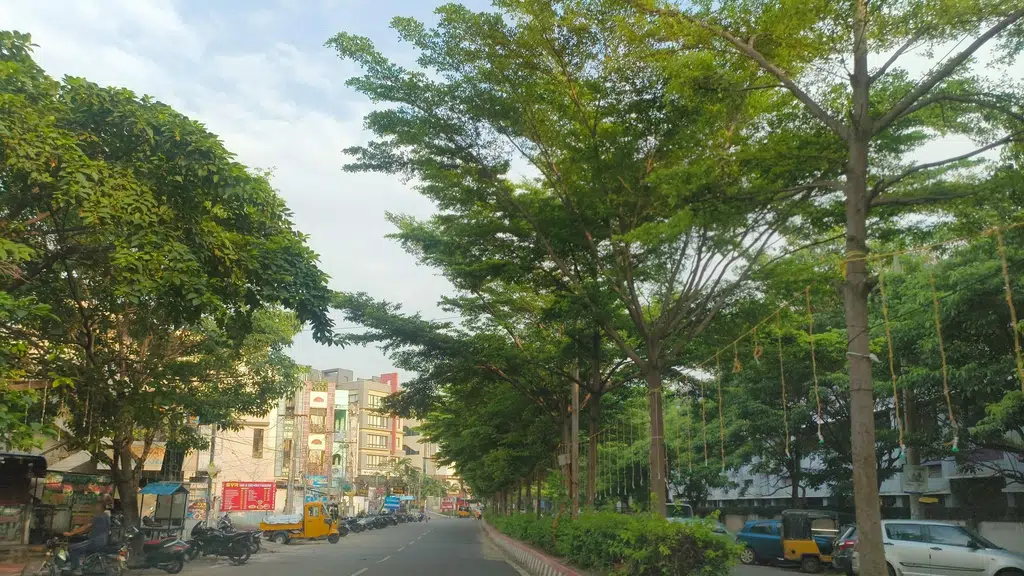 Andhra University College of Engineering for Women
