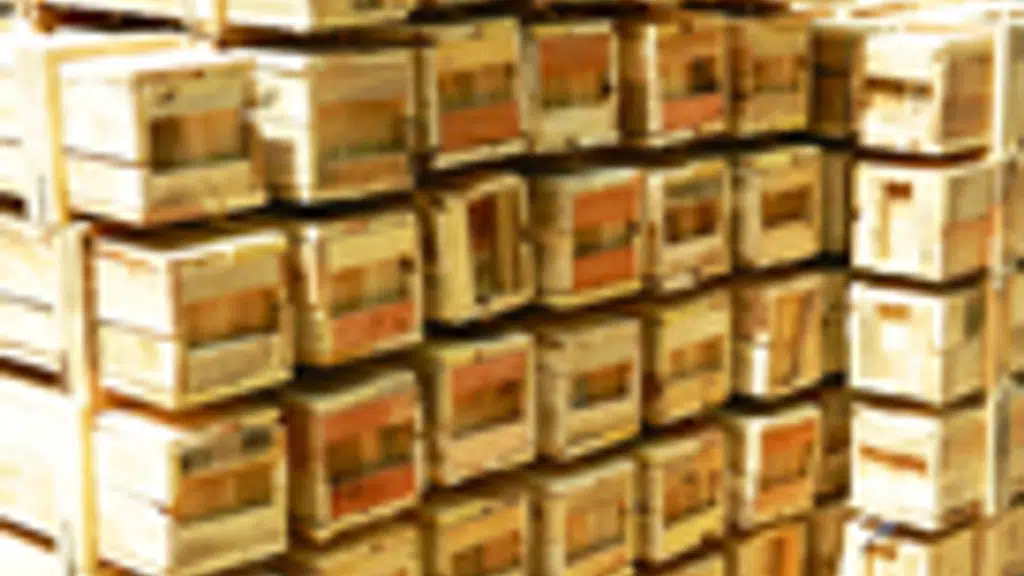 Shree Ambica Timber Traders
