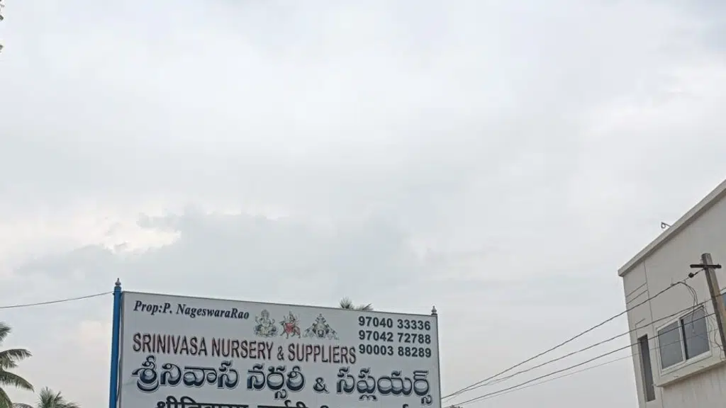 Srinivasa Nursery & Suppliers