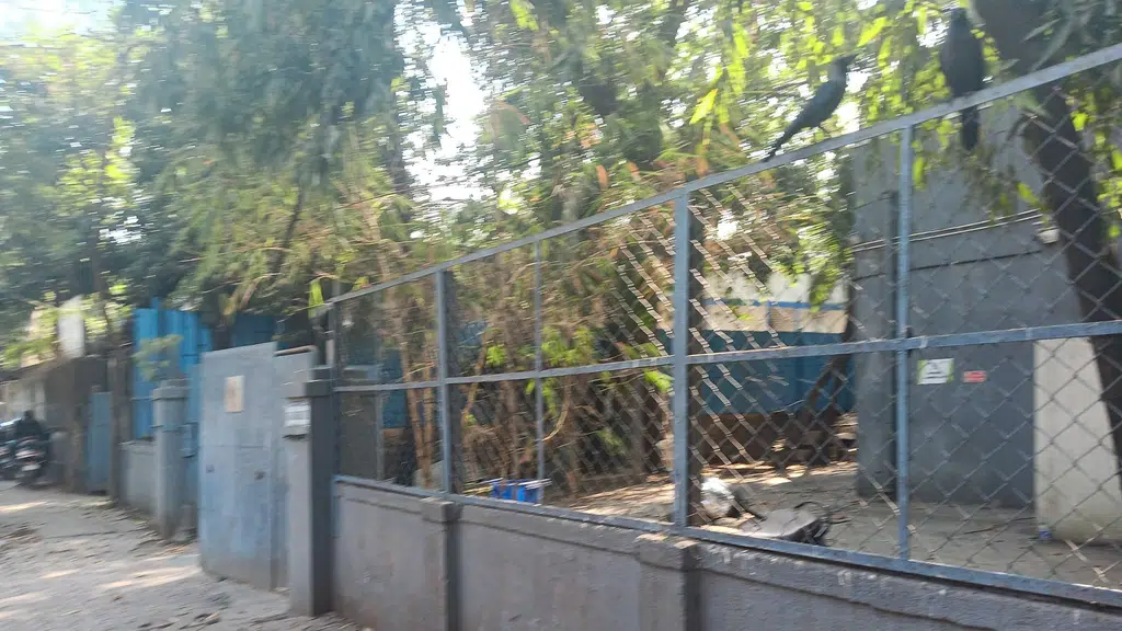 State Bank Of India