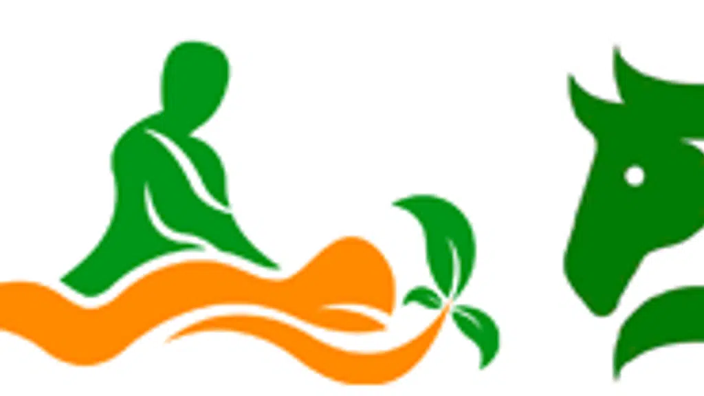 Divine wellness spa