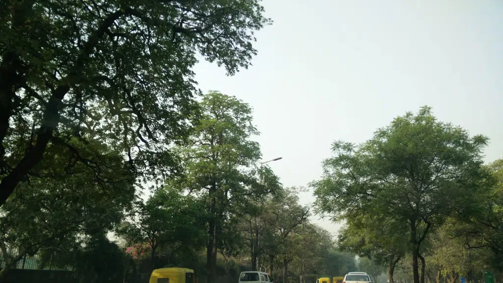Porsche New Delhi