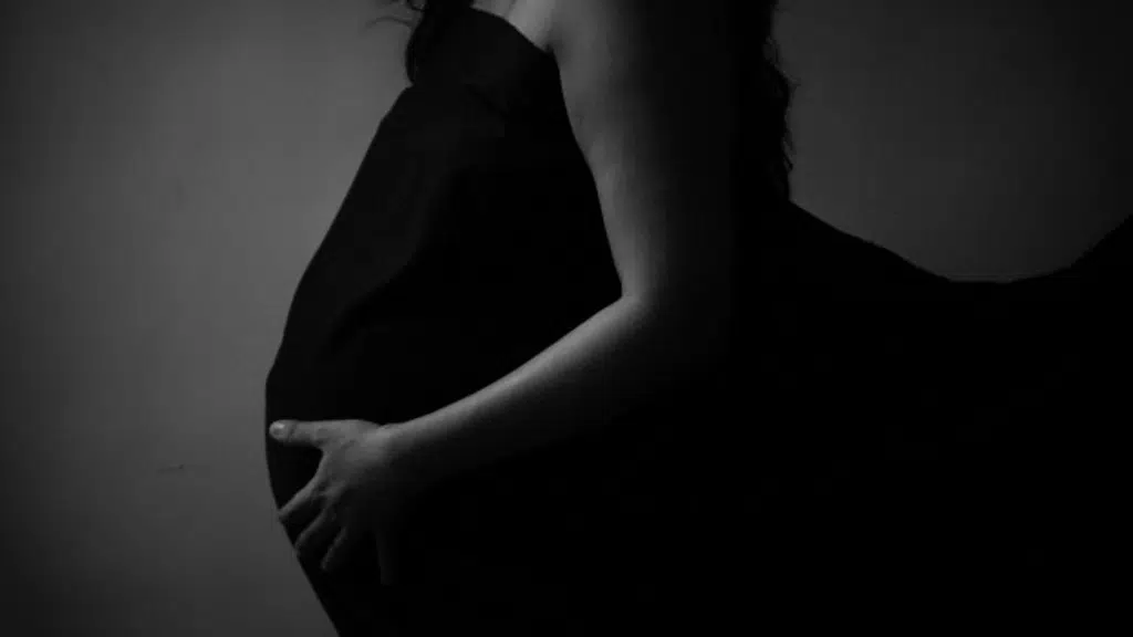 Priceless Moments - Maternity,Infant, Baby & Toddler Photography