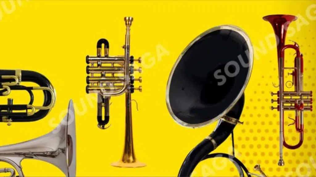 Sound Saga Exports