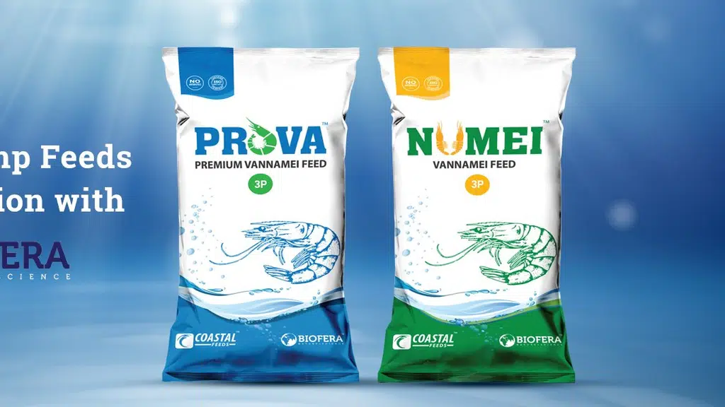 Coastal Feeds
