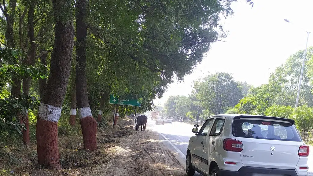 Sanskar Vatika