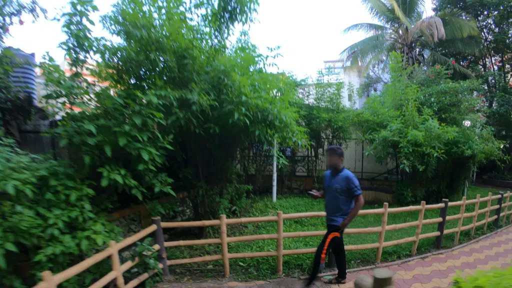 Shree Shaneshwar Mandir