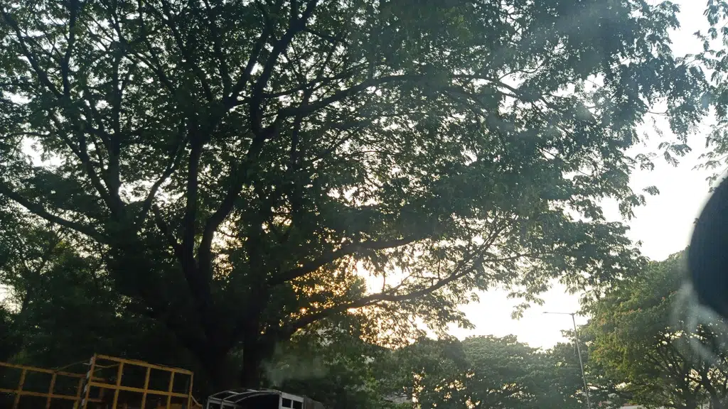 Salunkhe Weigh Bridge