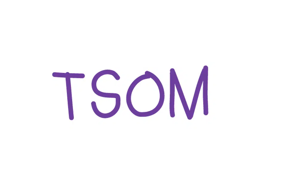The School of Montessori