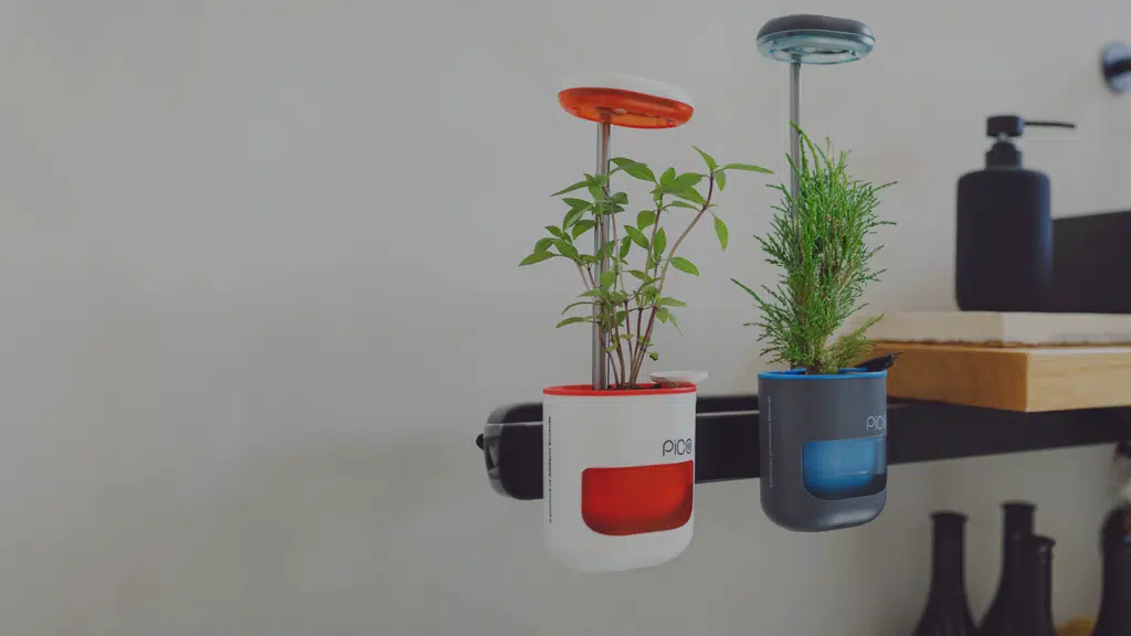 Altifarm Enverde