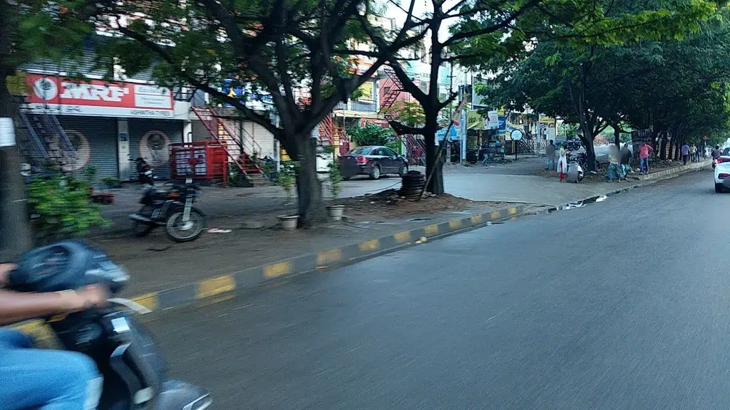 Ongole vari sakahari bhojanam