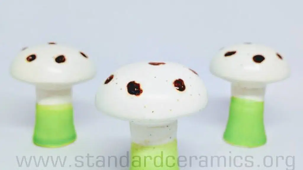 Standard Ceramic industry: Ceramic Pots and Planters