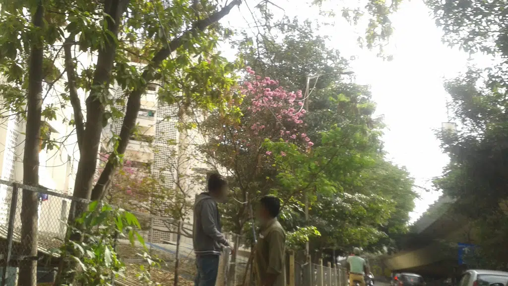Nargund College of Pharmacy
