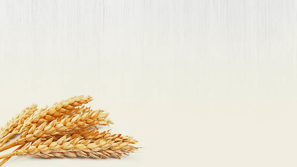 Mahalaxmi Malt Products Pvt. Ltd.