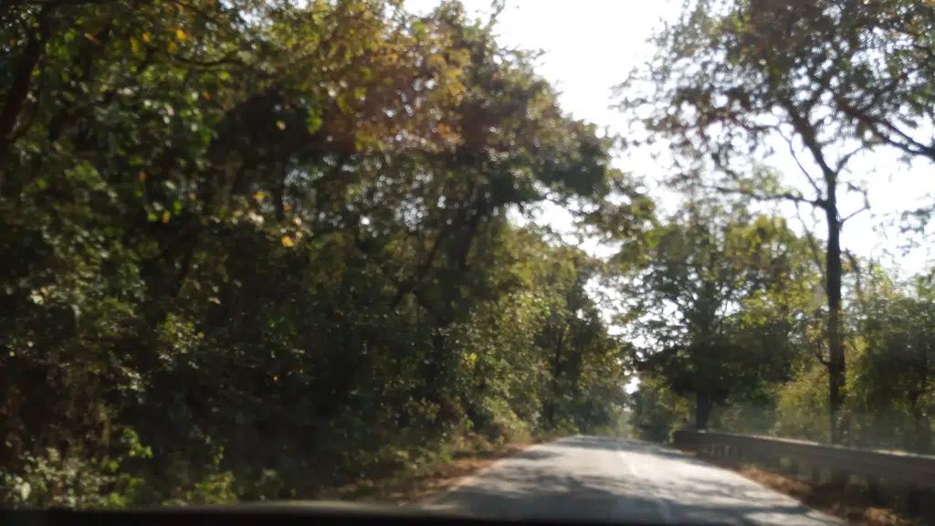 Bhagwan Mahavir Sanctuary Dwar
