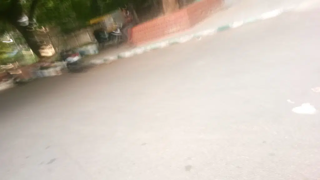 Vidyaniketan Montessori