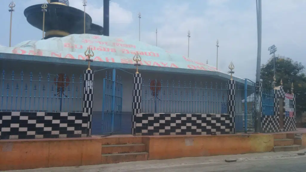 Pushkarala Revu