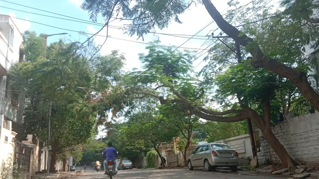 HDFC Bank Banjara Hills Road No 14 Branch