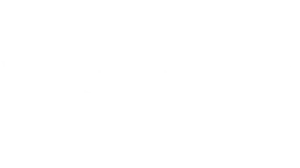 Software Technology Works Incorporated