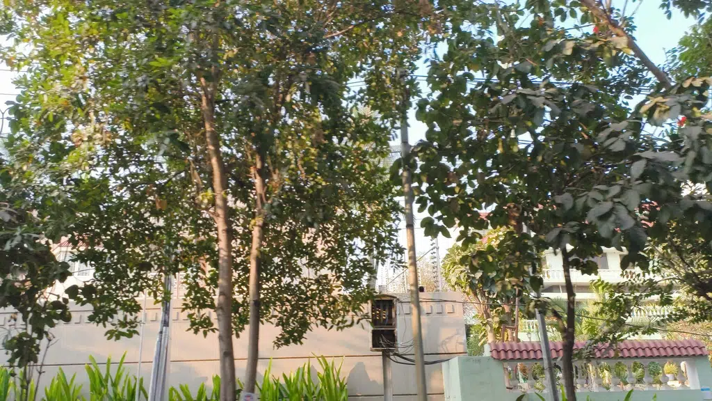 Singhania's Jubilee Hills