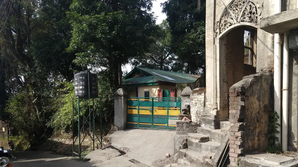 Woodland Store