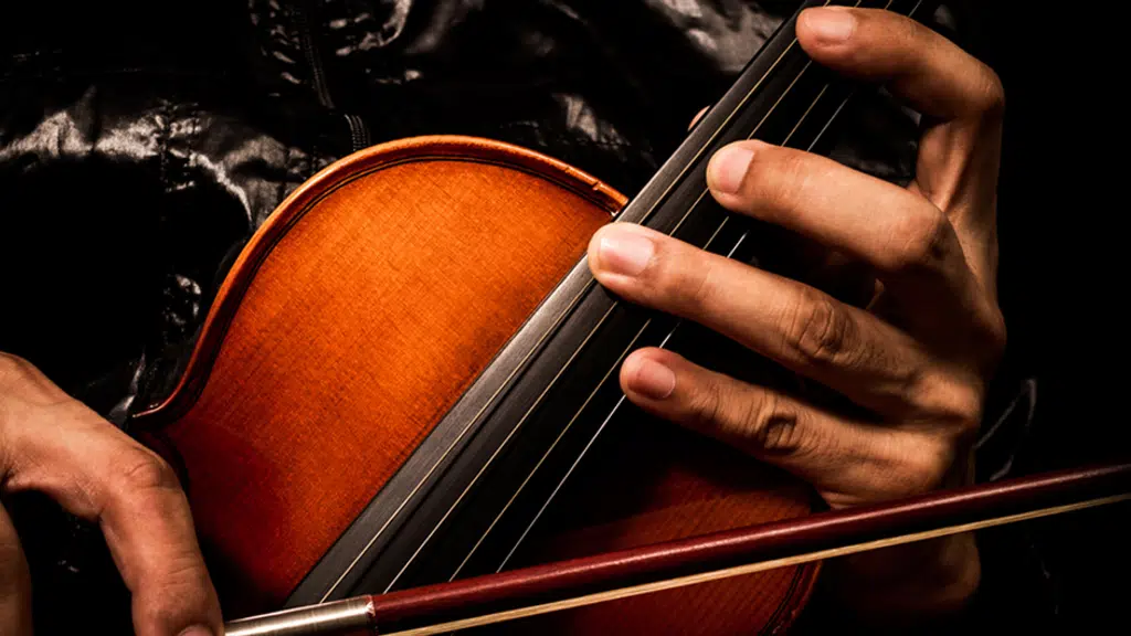 Violin,Viola,Cello Parts Supplier