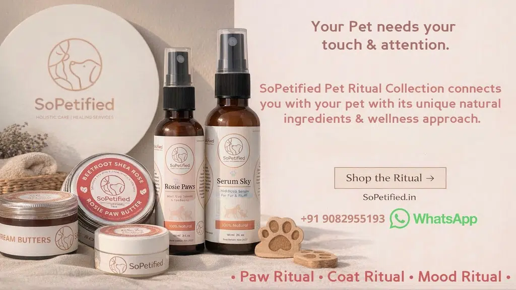 SoPetified: Pet Holistic Care & Healing Services