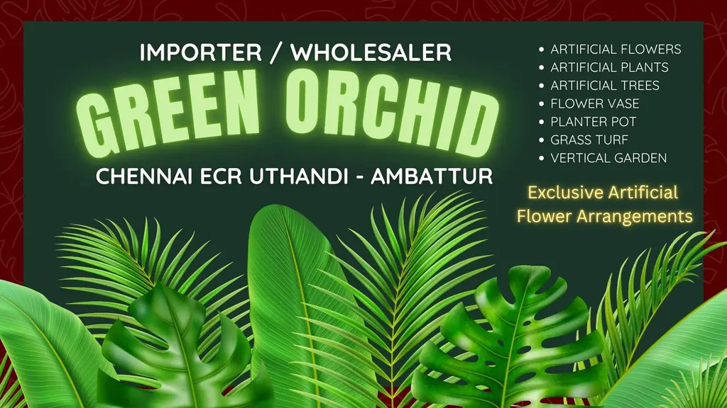Green Orchid