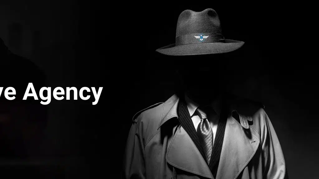 PDA Detective Agency Pune