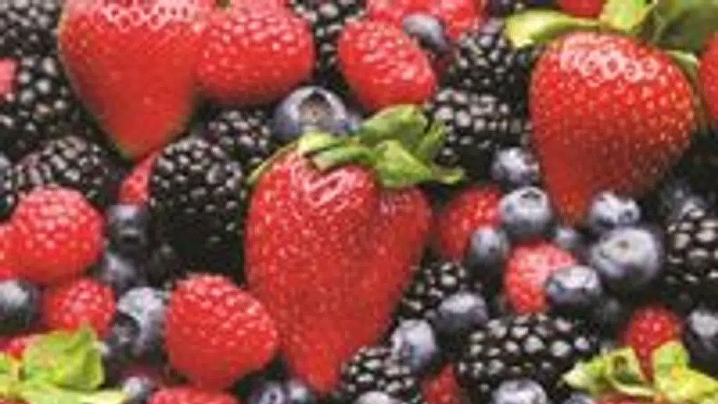 Very Berry Fruits