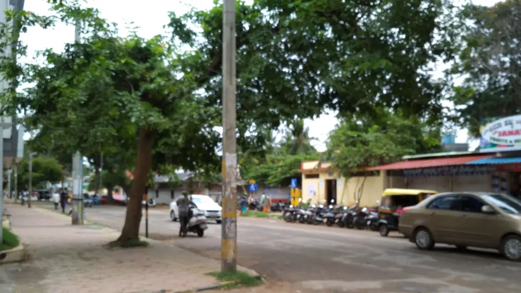 Kolkata Victoria Chat House